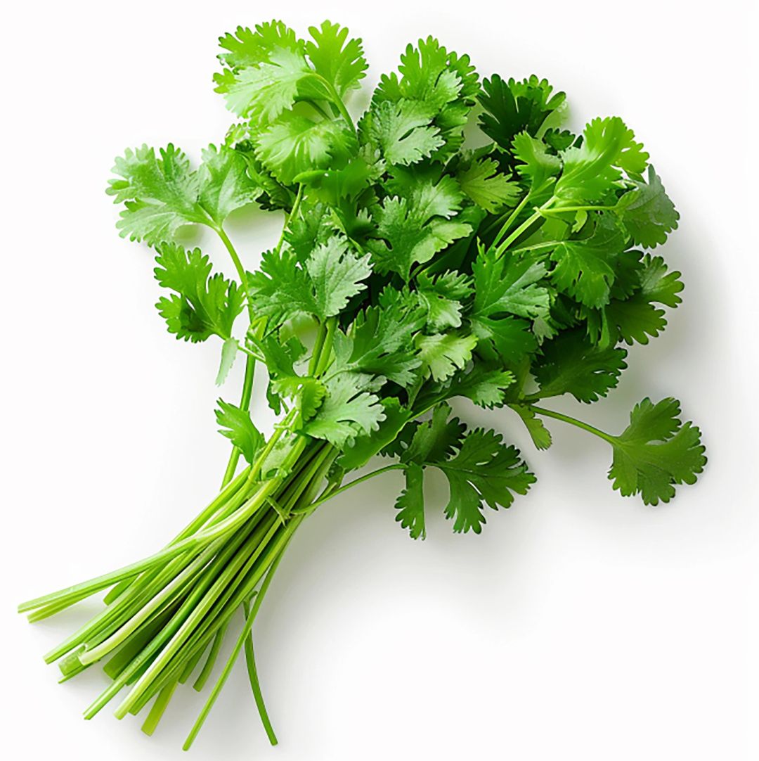 易腐农产品--两吨香菜